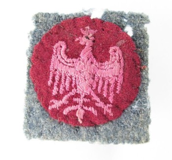 ORZEŁ BŁĘKITNA ARMIA HALLERA 