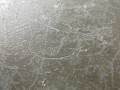 IMG_0922.JPG