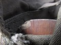 IMG_5547.JPG