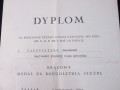 IMG_6040.JPG