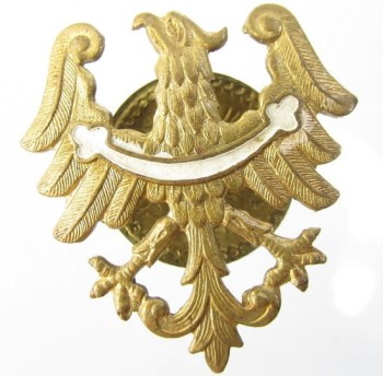 ORZEŁ ŚLĄSKI