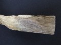IMG_0005.JPG