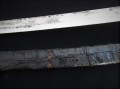 IMG_4221.JPG