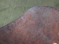 IMG_5564.JPG