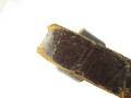 IMG_2657.JPG
