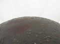 IMG_1022.JPG