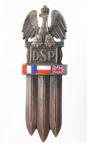 odznaka dsp dywizja strzelców pieszych (9).JPG