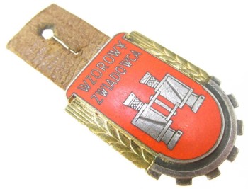 ODZNAKA WZOROWY ZWIADOWCA