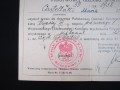 IMG_4578.JPG