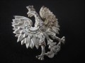 IMG_4994.JPG