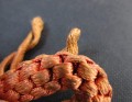 IMG_4179.JPG