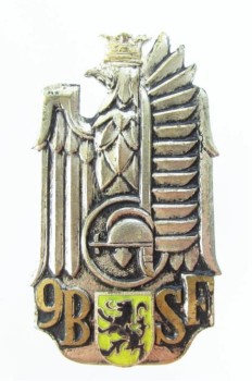 ODZNAKA 9 Batalion Strzelców Flandryjskich 1 DP
