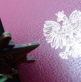 132_3692.JPG