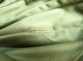 132_4712.JPG