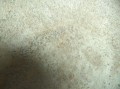 132_5233.JPG