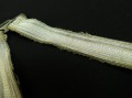 132_6832.JPG