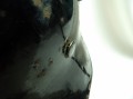 132_7004.JPG
