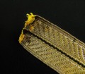 132_7745.JPG