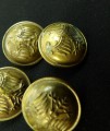 133_0755.JPG