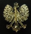 133_1897.JPG