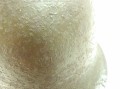 133_2512.JPG