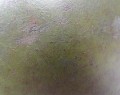 135_1795.JPG
