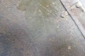135_4959.JPG