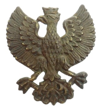 ORZEŁ WIELKOPOLSKI