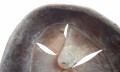 135_6573.JPG