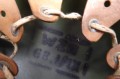 135_7170.JPG