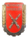 ODZNAKA WZOROWY STRZELEC