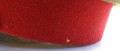 135_9978.JPG
