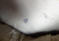 135_9983.JPG