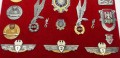 100_0617.JPG