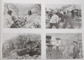 100_1436.JPG