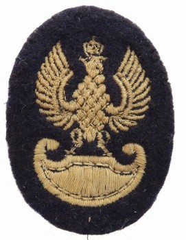 ORZEŁ BERETOWY PSZnZ
