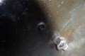 100_2579.JPG
