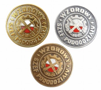 ZESTAW ODZNAK WZOROWY SZEF PODODDZIAŁU 