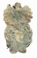 100_1814.JPG