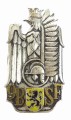 9 baon strzelców