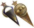 odznaka-spadochronowa.jpg