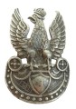 orzeł