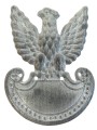 orzeł
