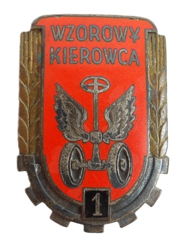 wzorowy kierowca