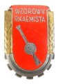 WZOROWY RKAEMISTA