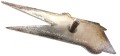 100_4186.JPG