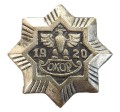 ODZNAKA OKOP 1920