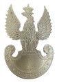 orzeł
