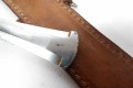 100_5863.JPG