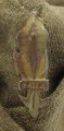 100_6431.JPG